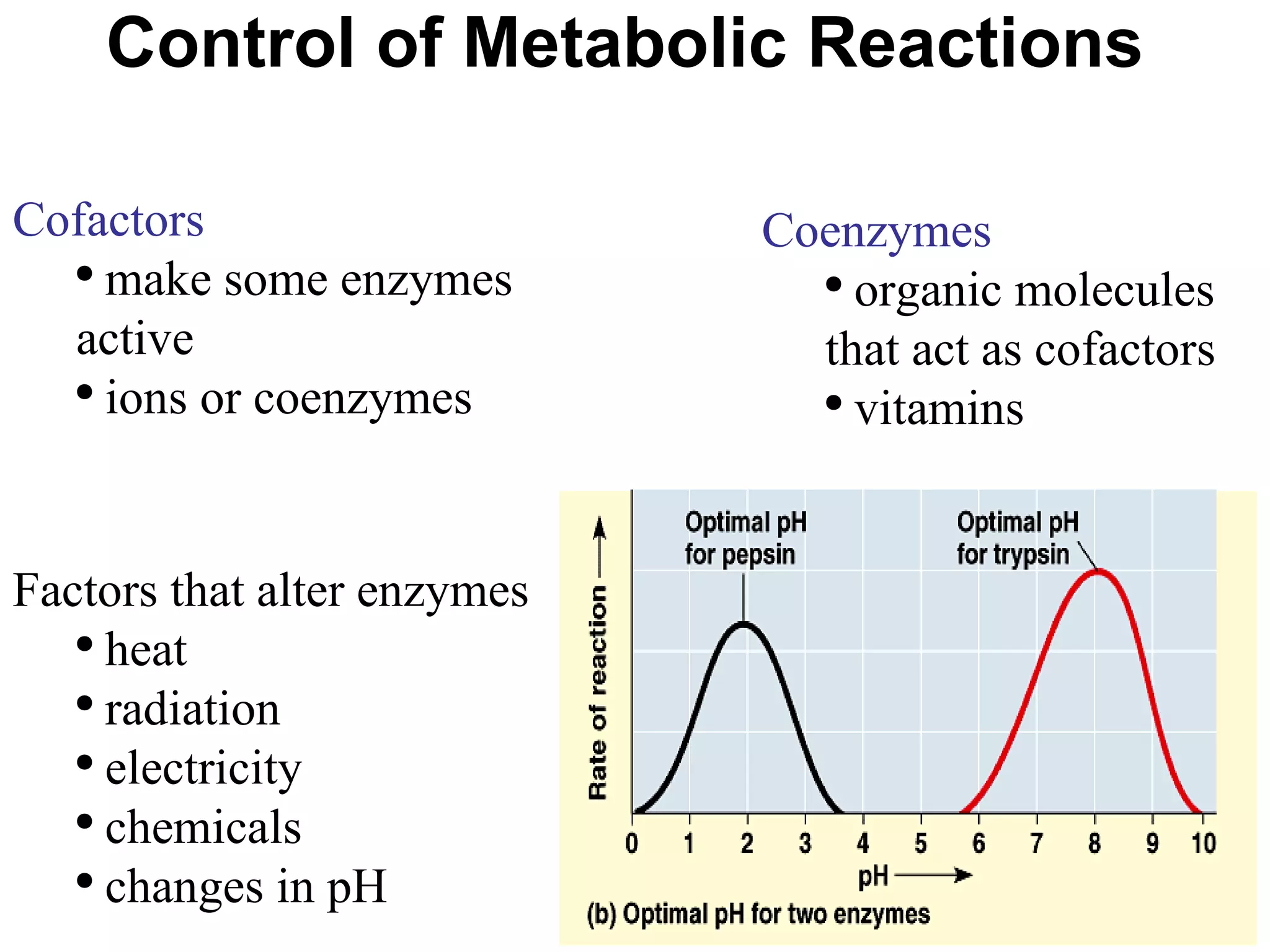 Control of Metabolic Reactions Cofactors  make some enzymes active ions or coenzymes Coenzymes organic molecules that act as cofactors vitamins Factors that alter enzymes heat radiation electricity chemicals changes in pH  
