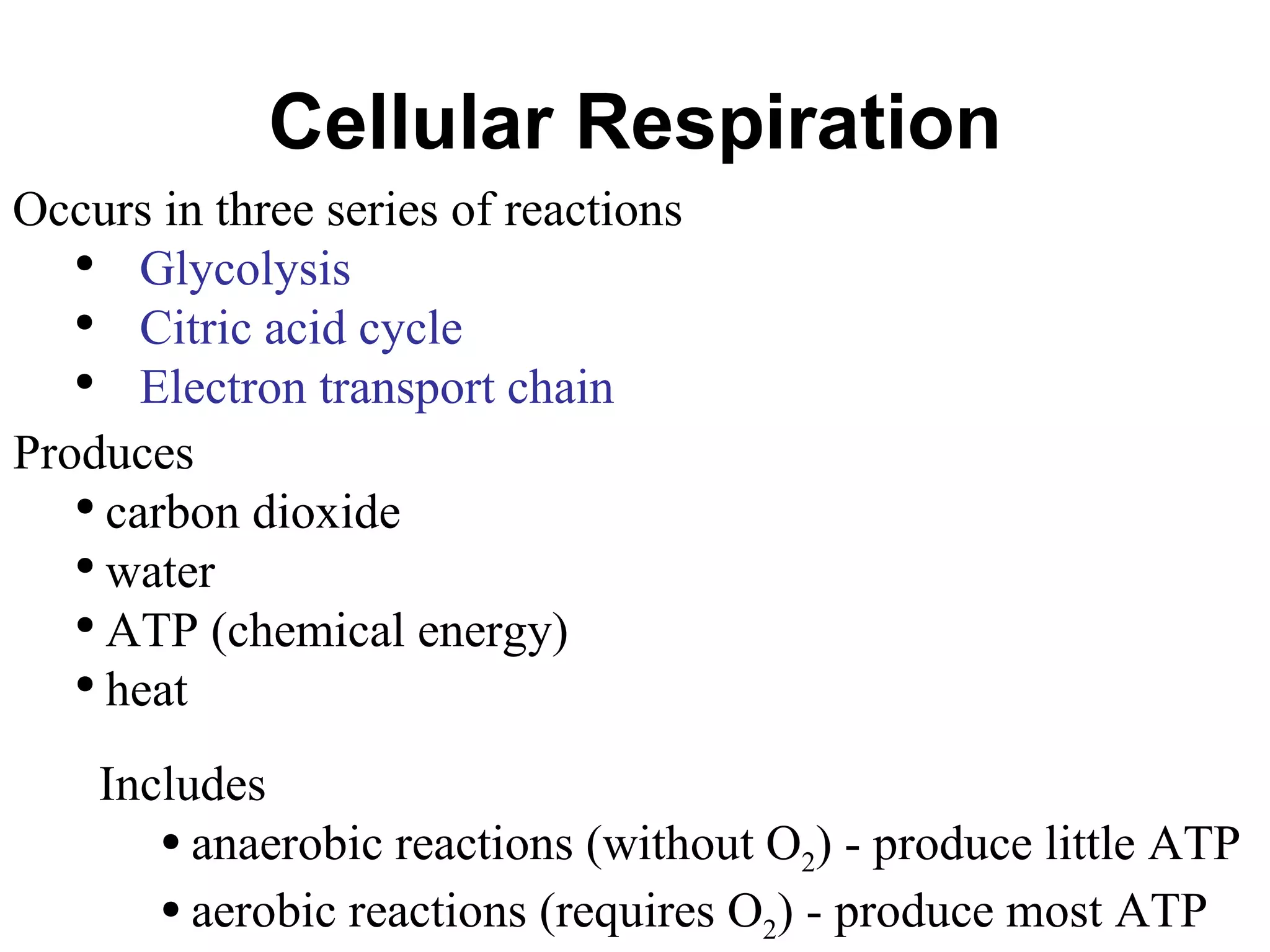 Cellular Respiration Occurs in three series of reactions Glycolysis Citric acid cycle Electron transport chain Produces carbon dioxide water ATP (chemical energy) heat Includes anaerobic reactions (without O 2 ) - produce little ATP aerobic reactions (requires O 2 ) - produce most ATP 
