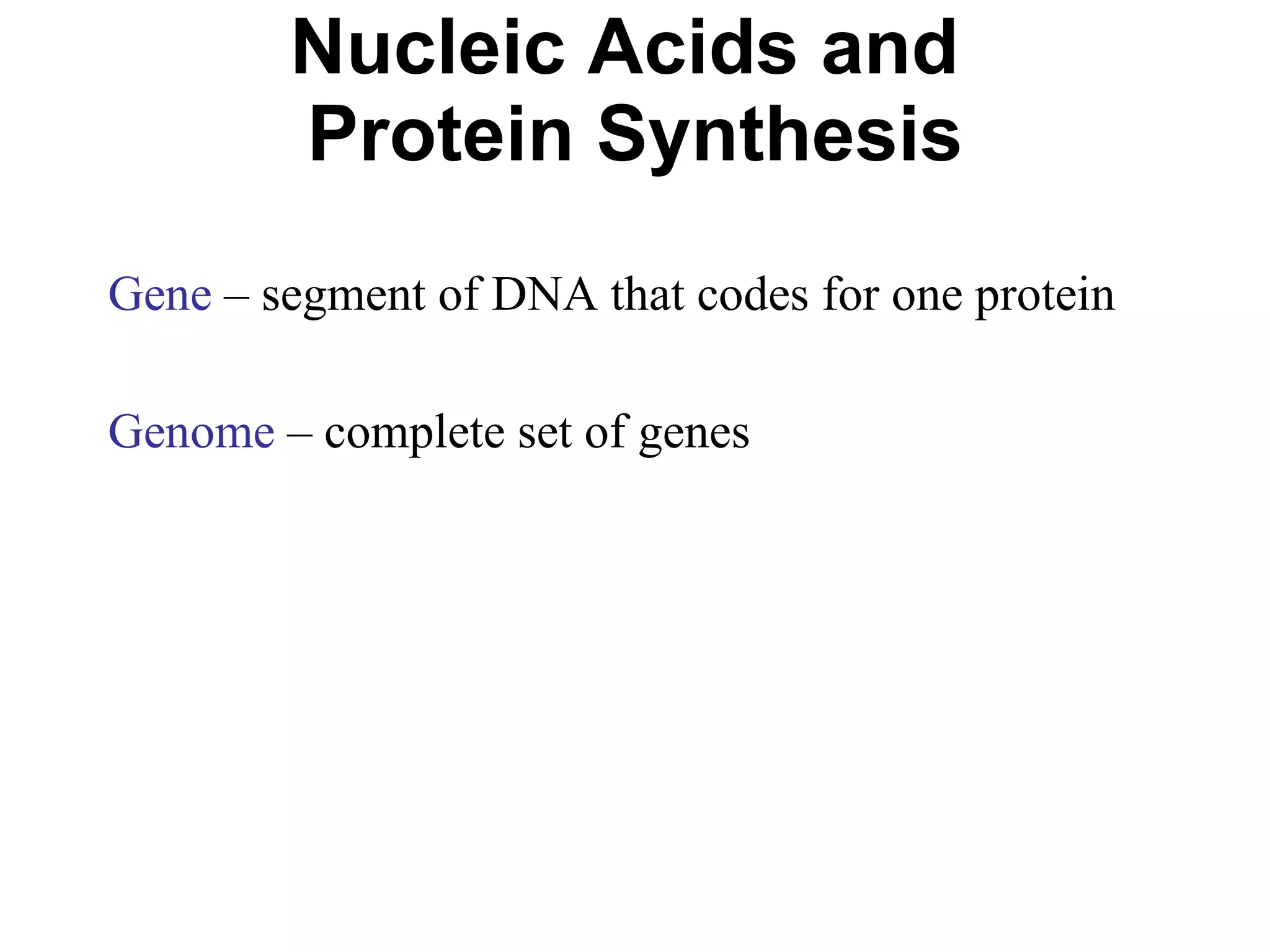Nucleic Acids and  Protein Synthesis Gene  – segment of DNA that codes for one protein Genome  – complete set of genes 