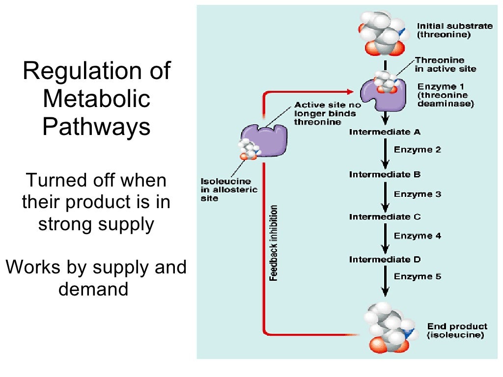 Cell metabolism