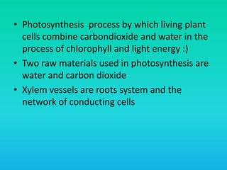 Cell metabolism energy and photosynthesis | PPT