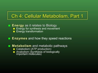 Ch 4: Cellular Metabolism, Part 1 ,[object Object],[object Object],[object Object],[object Object],[object Object],[object Object],[object Object]