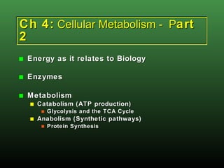 Ch 4:  Cellular Metabolism -  P art 2 ,[object Object],[object Object],[object Object],[object Object],[object Object],[object Object],[object Object]