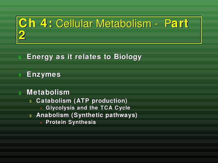 Cell Metabolism Part 2