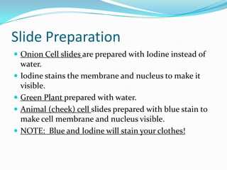 Slide Preparation
 Onion Cell slides are prepared with Iodine instead of
    water.
   Iodine stains the membrane and nucleus to make it
    visible.
   Green Plant prepared with water.
   Animal (cheek) cell slides prepared with blue stain to
    make cell membrane and nucleus visible.
   NOTE: Blue and Iodine will stain your clothes!
 