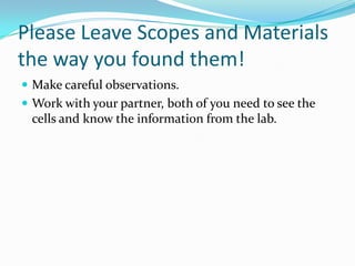 Please Leave Scopes and Materials
the way you found them!
 Make careful observations.
 Work with your partner, both of you need to see the
 cells and know the information from the lab.
 