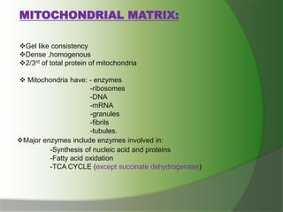 MITOCHONDRIAL MATRIX:
Gel like consistency
Dense ,homogenous
2/3rd of total protein of mitochondria
 Mitochondria have: - enzymes
-ribosomes
-DNA
-mRNA
-granules
-fibrils
-tubules.
Major enzymes include enzymes involved in:
-Synthesis of nucleic acid and proteins
-Fatty acid oxidation
-TCA CYCLE (except succinate dehydrogenase)
 
