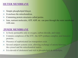 OUTER MEMBRANE
 Simple phospholipid bilayer.
 It encloses the mitochondrion.
 Containing protein structures called porins.
 Ions, nutrient molecules, ATP, ADP, etc. can pass through the outer membrane
with ease.
INNER MEMBRANE
 Is freely permeable only to oxygen, carbon dioxide, and water.
 Contains complexes of the ETC, the ATP synthase complex, and transport
proteins.
 Presence of sophisticated ion transporters exist.
 Several antiport systems exist, allowing exchange of anions between
the cytosol and the mitochondrial matrix.
 It is devoid of cholesterol and rich in phospholipid & cardiolipin.
 