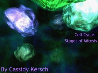 C Cell Cycle:  Stages of Mitosis By Cassidy Kersch 