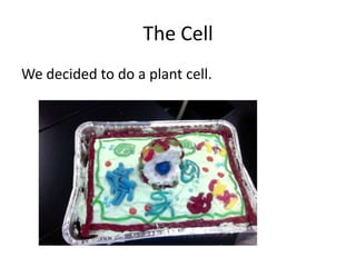 The Cell
We decided to do a plant cell.

 