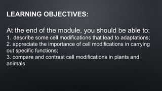Cell_Modifications.pptx
