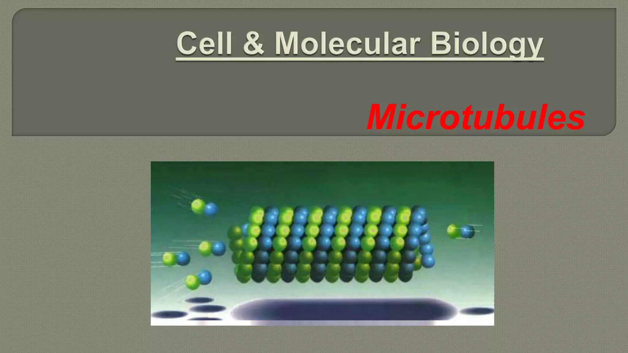 Cell & molecular biology PPT