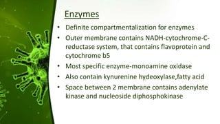 Enzymes
• Definite compartmentalization for enzymes
• Outer membrane contains NADH-cytochrome-C-
reductase system, that contains flavoprotein and
cytochrome b5
• Most specific enzyme-monoamine oxidase
• Also contain kynurenine hydeoxylase,fatty acid
• Space between 2 membrane contains adenylate
kinase and nucleoside diphosphokinase
 