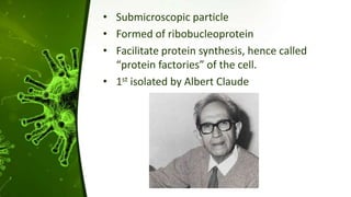 • Submicroscopic particle
• Formed of ribobucleoprotein
• Facilitate protein synthesis, hence called
“protein factories” of the cell.
• 1st isolated by Albert Claude
 