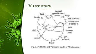 70s structure
 