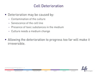 Cell Deterioration

 Deterioration may be caused by:
      −    Contamination of the culture
      −    Senescence of the cell line
      −    Presence of toxic substances in the medium
      −    Culture needs a medium change


 Allowing the deterioration to progress too far will make it
  irreversible.




Life Technologies™ Proprietary | 3
 