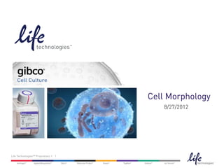 Cell Morphology
                                        8/27/2012




Life Technologies™ Proprietary | 1
 