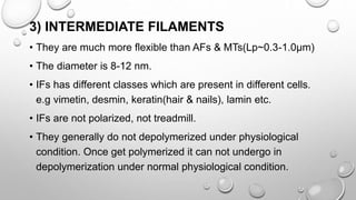 3) INTERMEDIATE FILAMENTS
• They are much more flexible than AFs & MTs(Lp~0.3-1.0µm)
• The diameter is 8-12 nm.
• IFs has different classes which are present in different cells.
e.g vimetin, desmin, keratin(hair & nails), lamin etc.
• IFs are not polarized, not treadmill.
• They generally do not depolymerized under physiological
condition. Once get polymerized it can not undergo in
depolymerization under normal physiological condition.
 