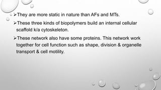 They are more static in nature than AFs and MTs.
These three kinds of biopolymers build an internal cellular
scaffold k/a cytoskeleton.
These network also have some proteins. This network work
together for cell function such as shape, division & organelle
transport & cell motility.
 