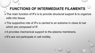 FUNCTIONS OF INTERMEDIATE FILAMENTS
The main function of IFs is to provide structural support & to organize
cells into tissue.
The supportive role of IFs is carried to an extreme in claws & hair
which are composed of IF.
It provides mechanical support to the plasma membrane.
IFs are not participate in cell motility.
 