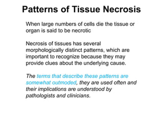 When large numbers of cells die the tissue or
organ is said to be necrotic
Necrosis of tissues has several
morphologically distinct patterns, which are
important to recognize because they may
provide clues about the underlying cause.
The terms that describe these patterns are
somewhat outmoded, they are used often and
their implications are understood by
pathologists and clinicians.
Patterns of Tissue Necrosis
 