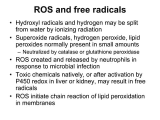 ROS and free radicals
• Hydroxyl radicals and hydrogen may be split
from water by ionizing radiation
• Superoxide radicals, hydrogen peroxide, lipid
peroxides normally present in small amounts
– Neutralized by catalase or glutathione peroxidase
• ROS created and released by neutrophils in
response to microbial infection
• Toxic chemicals natively, or after activation by
P450 redox in liver or kidney, may result in free
radicals
• ROS initiate chain reaction of lipid peroxidation
in membranes
 