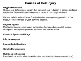 Oxygen Deprivation
Hypoxia is a deficiency of oxygen that can result in a reduction in aerobic oxidative
respiration. Extremely important common cause of cell injury/cell death.
Causes include reduced blood flow (ischemia), inadequate oxygenation of the
blood, decreased blood oxygen-carrying capacity.
Physical Agents
Mechanical trauma, extremes of temperature (burns and deep cold), sudden
changes in atmospheric pressure, radiation, and electric shock.
Chemical Agents and Drugs
Infectious Agents
Immunologic Reactions
Genetic Derangements
Nutritional Imbalances
Protein-calorie and/or vitamin deficiencies. Nutritional excesses (overnutrition)
Causes of Cell Injury
 