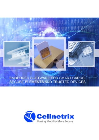 EMBEDDED SOFTWARE FOR SMART CARDS,
SECURE ELEMENTS AND TRUSTED DEVICES

 
