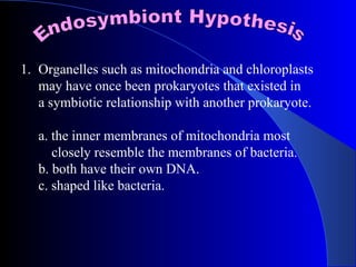 1. Organelles such as mitochondria and chloroplasts
   may have once been prokaryotes that existed in
   a symbiotic relationship with another prokaryote.

   a. the inner membranes of mitochondria most
      closely resemble the membranes of bacteria.
   b. both have their own DNA.
   c. shaped like bacteria.
 