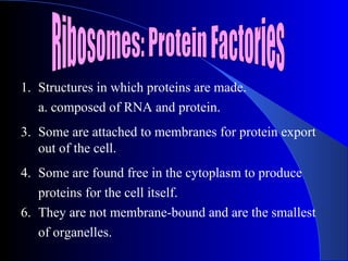 1. Structures in which proteins are made.
   a. composed of RNA and protein.
3. Some are attached to membranes for protein export
   out of the cell.
4. Some are found free in the cytoplasm to produce
   proteins for the cell itself.
6. They are not membrane-bound and are the smallest
   of organelles.
 