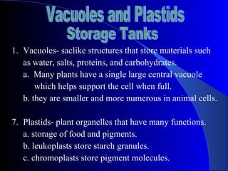 1. Vacuoles- saclike structures that store materials such
   as water, salts, proteins, and carbohydrates.
   a. Many plants have a single large central vacuole
       which helps support the cell when full.
   b. they are smaller and more numerous in animal cells.

7. Plastids- plant organelles that have many functions.
   a. storage of food and pigments.
   b. leukoplasts store starch granules.
   c. chromoplasts store pigment molecules.
 