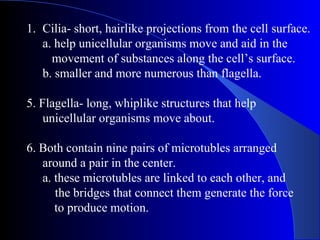 1. Cilia- short, hairlike projections from the cell surface.
   a. help unicellular organisms move and aid in the
     movement of substances along the cell’s surface.
   b. smaller and more numerous than flagella.

5. Flagella- long, whiplike structures that help
    unicellular organisms move about.

6. Both contain nine pairs of microtubles arranged
   around a pair in the center.
   a. these microtubles are linked to each other, and
      the bridges that connect them generate the force
      to produce motion.
 