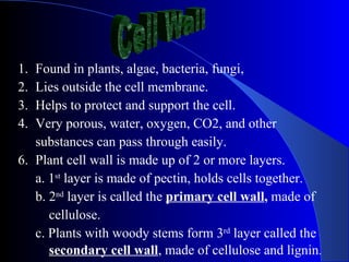 1. Found in plants, algae, bacteria, fungi,
2. Lies outside the cell membrane.
3. Helps to protect and support the cell.
4. Very porous, water, oxygen, CO2, and other
   substances can pass through easily.
6. Plant cell wall is made up of 2 or more layers.
   a. 1st layer is made of pectin, holds cells together.
   b. 2nd layer is called the primary cell wall, made of
      cellulose.
   c. Plants with woody stems form 3rd layer called the
      secondary cell wall, made of cellulose and lignin.
 