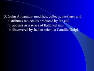 3. Golgi Apparatus- modifies, collects, packages and
   distributes molecules produced by the cell.
    a. appears as a series of flattened sacs.
    b. discovered by Italian scientist Camillo Golgi.
 