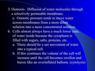 3. Osmosis- Diffusion of water molecules through
   a selectively permeable membrane.
    a. Osmotic pressure tends to move water
    across membranes from a more dilute
    solution into a more concentrated solution.
6. Cells almost always have a much lower conc.
    of water inside because the cytoplasm is
    filled with sugars, salts, proteins, etc.
    a. There should be a net movement of water
        into a typical cell.
    b. If this continues the volume of the cell will
        increase until the cell becomes swollen and
        bursts like an overinflated balloon. (cytolysis)
 