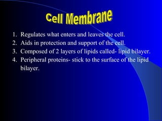 1.   Regulates what enters and leaves the cell.
2.   Aids in protection and support of the cell.
3.   Composed of 2 layers of lipids called- lipid bilayer.
4.   Peripheral proteins- stick to the surface of the lipid
     bilayer.
 