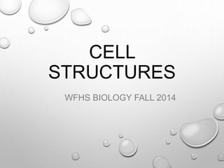 CELL 
STRUCTURES 
WFHS BIOLOGY FALL 2014 
 