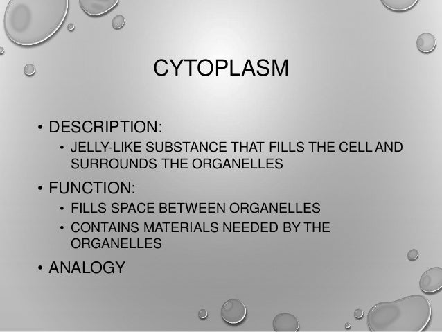 cytoplasm analogy