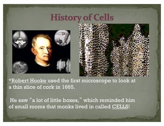 *Robert Hooke used the first microscope to look at
a thin slice of cork in 1665.
He saw a lot of little boxes, which reminded him
of small rooms that monks lived in called CELLS!
 