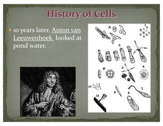 — 10 years later, Anton van
Leeuwenhoek looked at
pond water.
History of Cells
 