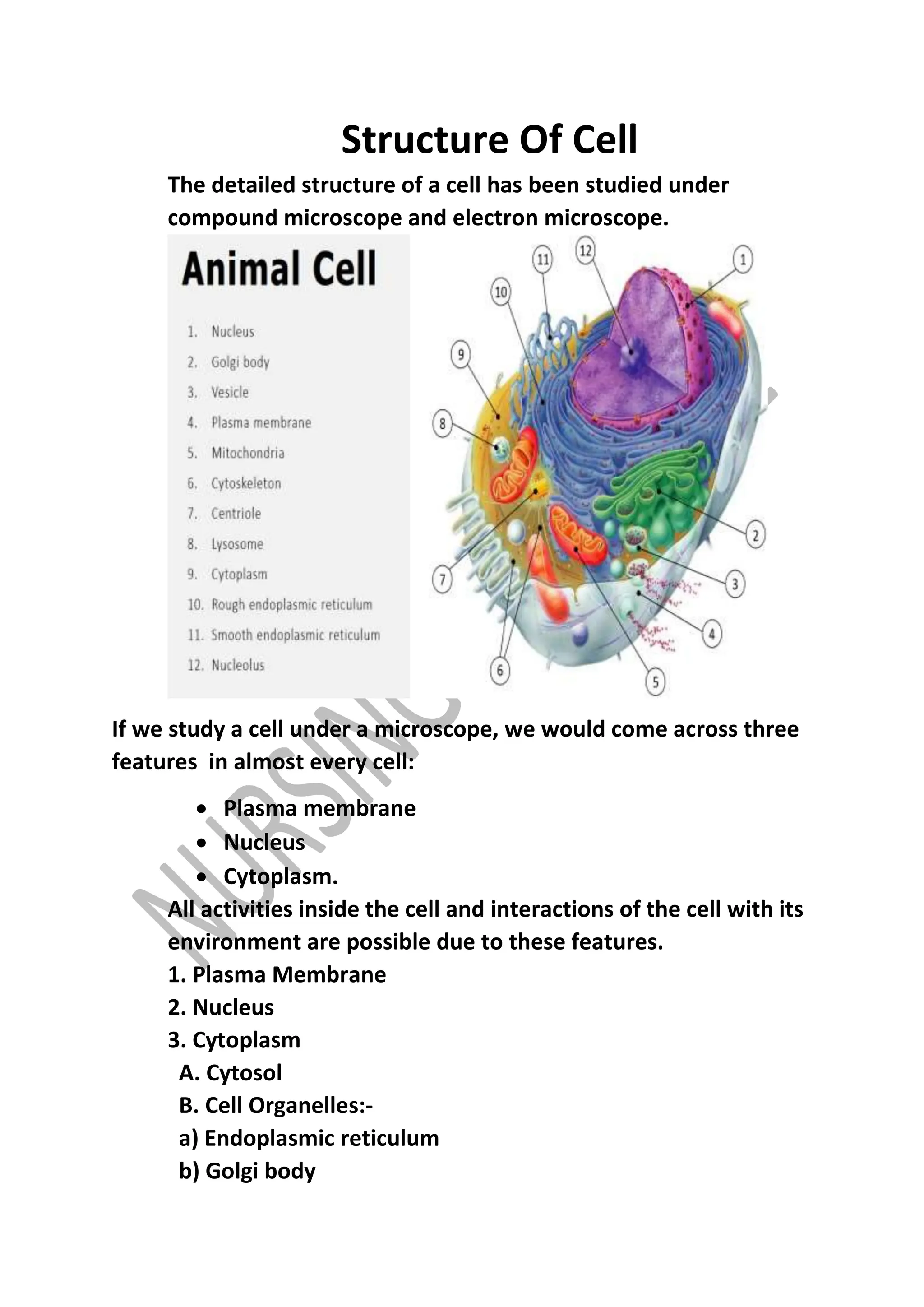 Labelled Cell Notes CELL NOTES BY NURSING TUTORIAL.docx