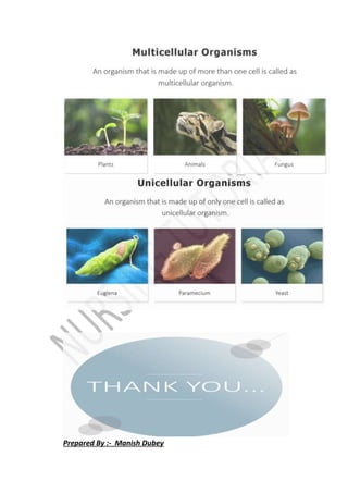 Prepared By :- Manish Dubey
 