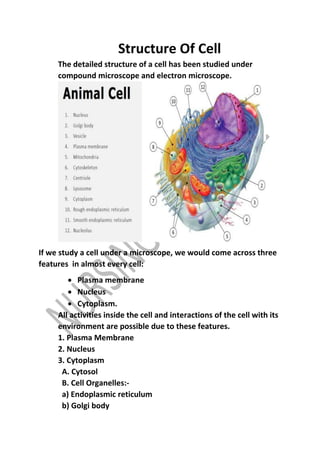 Structure Of Cell
The detailed structure of a cell has been studied under
compound microscope and electron microscope.
If we study a cell under a microscope, we would come across three
features in almost every cell:
 Plasma membrane
 Nucleus
 Cytoplasm.
All activities inside the cell and interactions of the cell with its
environment are possible due to these features.
1. Plasma Membrane
2. Nucleus
3. Cytoplasm
A. Cytosol
B. Cell Organelles:-
a) Endoplasmic reticulum
b) Golgi body
 