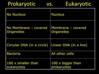 Prokaryotic vs. Eukaryotic
No Nucleus Nucleus
No Membrane – covered
Organelles
Membrane – covered
Organelles
Circular DNA (in a circle) Linear DNA (in a line)
Bacteria
100 x smaller than
eukaryotes
All other cells
100 x bigger than
prokaryotes
 