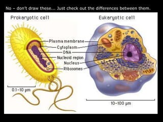 No – don’t draw these... Just check out the differences between them.
 