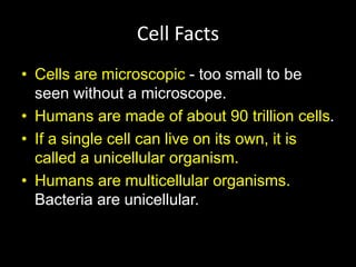 Cell Facts
• Cells are microscopic - too small to be
seen without a microscope.
• Humans are made of about 90 trillion cells.
• If a single cell can live on its own, it is
called a unicellular organism.
• Humans are multicellular organisms.
Bacteria are unicellular.
 