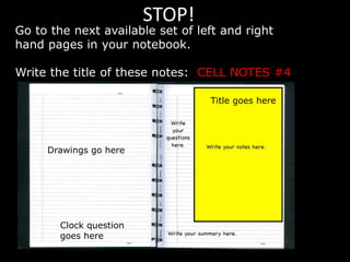 STOP!
Go to the next available set of left and right
hand pages in your notebook.
Write the title of these notes: CELL NOTES #4
Title goes here
Drawings go here
Clock question
goes here
 