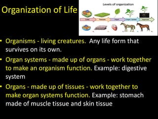 Organization of Life
• Organisms - living creatures. Any life form that
survives on its own.
• Organ systems - made up of organs - work together
to make an organism function. Example: digestive
system
• Organs - made up of tissues - work together to
make organ systems function. Example: stomach
made of muscle tissue and skin tissue
 