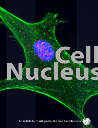 AnArticleformWikipedia,theFreeEncyclopedia
Nucleus
Cell
 