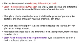 • The media employed are selective, differential, or both.
• Eosin– methylene blue (EMB) agar, is a widely used selective and differential
medium for the isolation and differentiation of enteric bacteria.
• Methylene blue is selective because it inhibits the growth of gram-positive
bacteria, and thus only gram-negative organisms can grow.
• EMB agar has an initial pH of 7.2 and contains lactose and sucrose, but not
glucose, as energy sources.
• Acidification changes eosin, the differential media component, from colorless
to red or black.
• Eosin Y and methylene blue are pH indicator dyes that combine to form a
dark purple precipitate at low pH
 